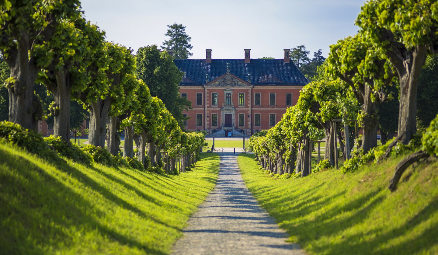 Festonallee zum Schloss Bothmer, © SSGK MV / Timm Allrich