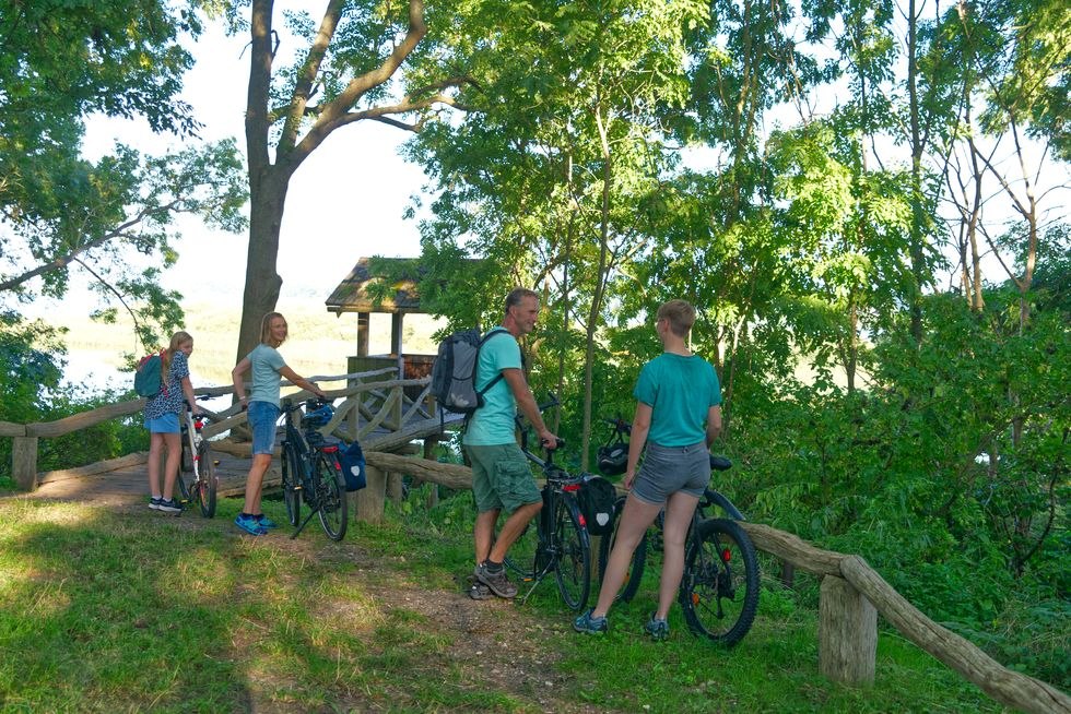 Beobachtungsturm Burgwallinsel, © C. Drühl/Tourist-Info