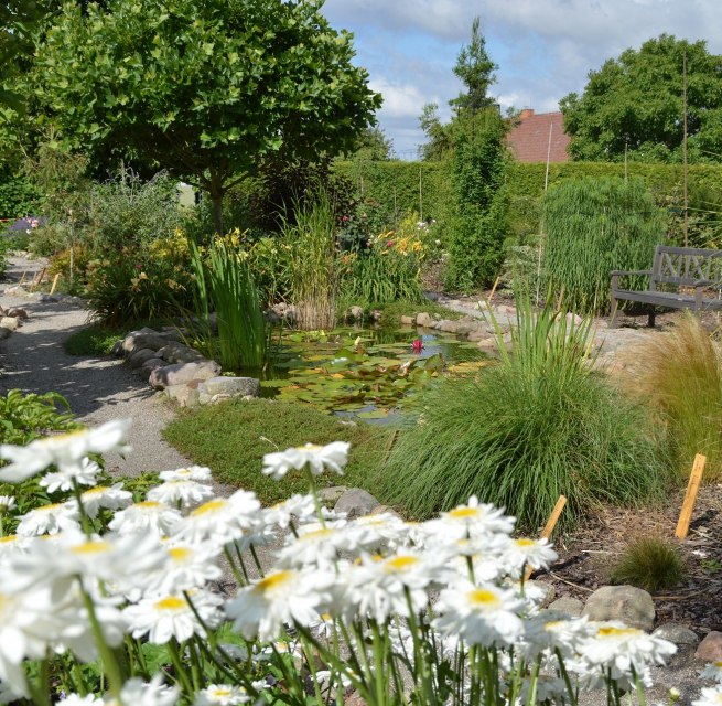 Ruhige Sitzgelegenheit am Gartenteich, © Kevin Hager (Baumschule Hager)