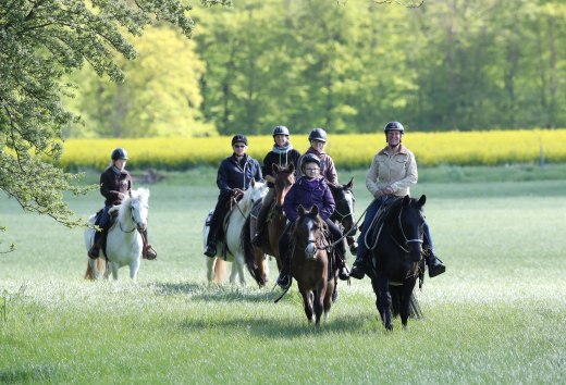 Wanderritt über grüne Wiesen am Waldesrand, © TMV/Pantel