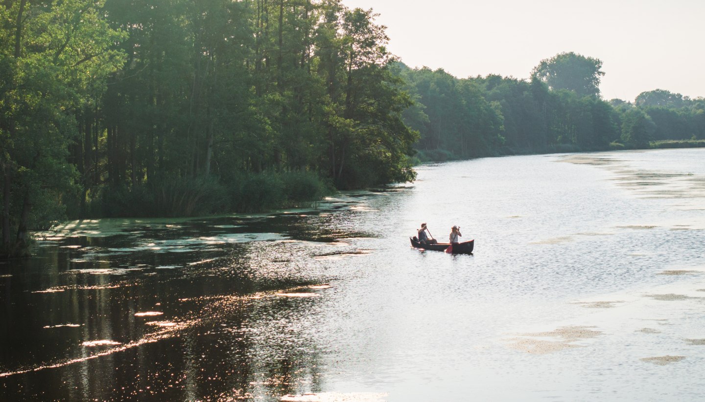 Zwei Personen paddeln in einem Kanu auf der Peene, umgeben von üppiger Natur und sonnendurchflutetem Wasser.