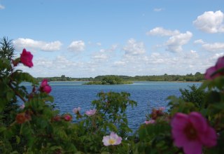 Blick vom Grundstück auf den Schaalsee mit der Insel Möwenburg., © © Susanne Hoffmeister