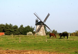 Mühle in Benz, © Sabrina Wittkopf-Schade