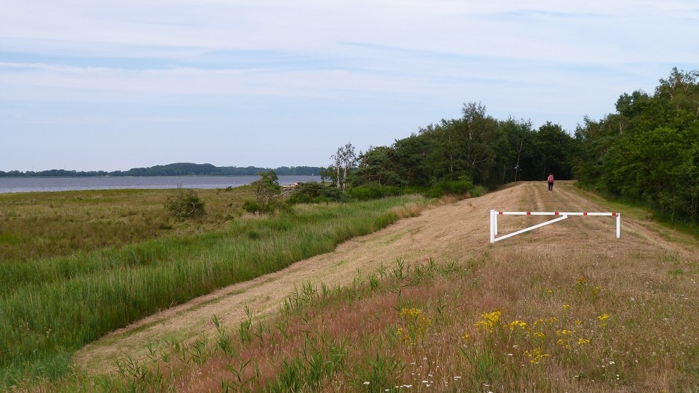 Bei Ihrer Wanderung auf dem Deich von Ummanz haben Sie stets die Insel Hiddensee im Blick, © Ummanz-Information/Bordych