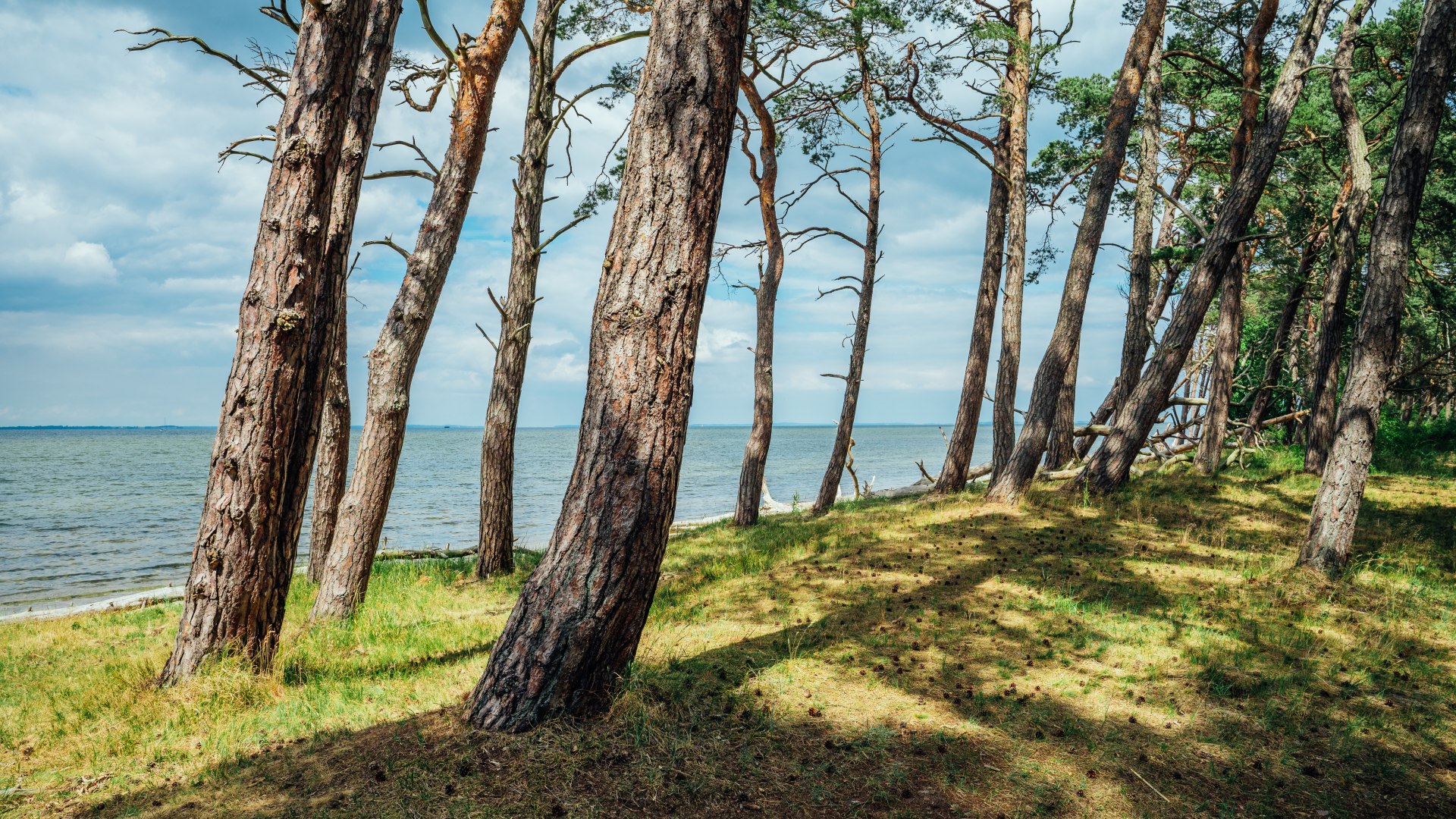 Kaum etwas inspirierte die Romantikmaler so sehr wie die Natur, wie hier in Vorpommern., © TMV/Tiemann