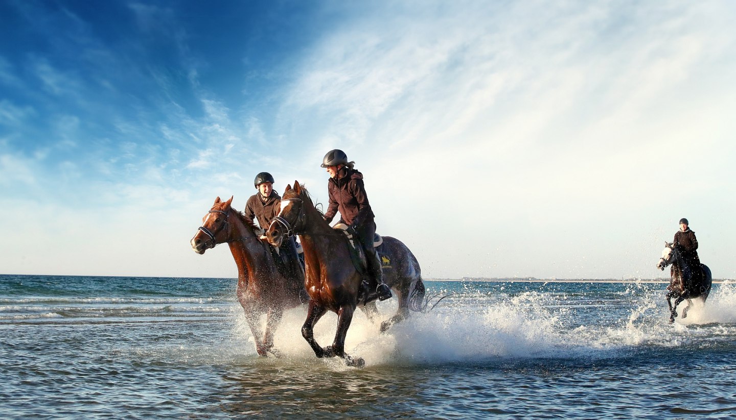 Von Oktober bis April heißt es rein in den Sattel und ab an die Mecklenburgische Ostsee, © TMV/Pantel