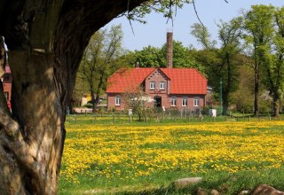 Das Gut Gallin ist einer der größten Biobetriebe Deutschlands, © Gut Gallin / Rasim