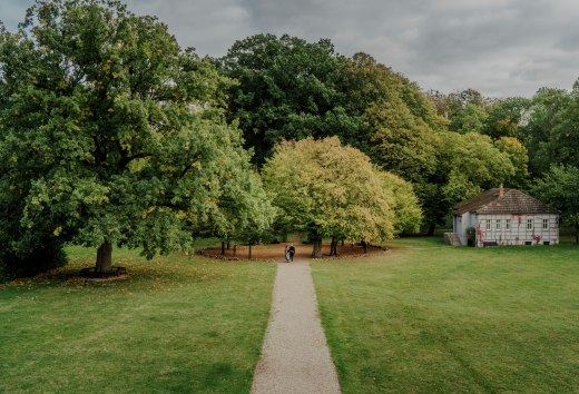 Ein idyllischer Spaziergang durch den Park des Romantik Hotels Gutshaus Ludorf: Umgeben von alten Bäumen und grünen Wiesen, lädt die Natur zur Erholung und Entspannung ein.