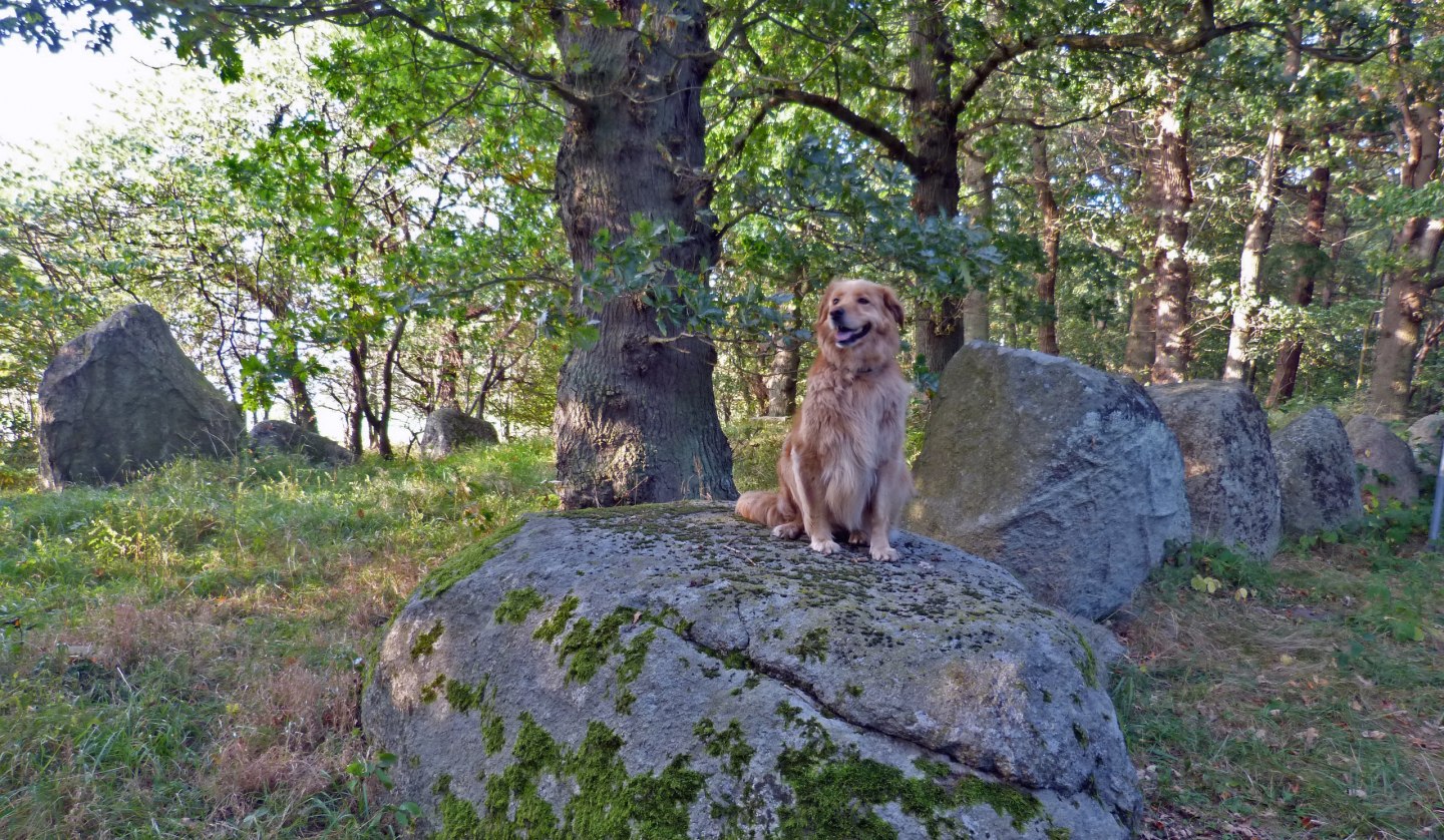 GSG Dwasieden m. Cora - Staude Kati, © Dr. Katrin Staude