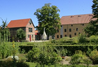 Blick in den Garten, © Sabrina Wittkopf-Schade