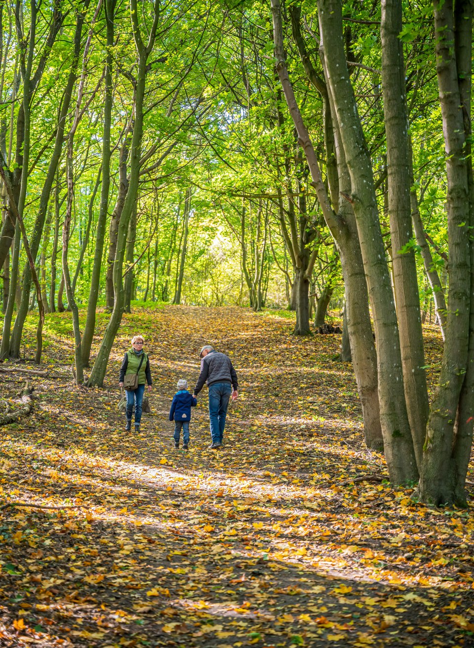 Das Familientrio ist unterwegs  zum Aussichtsturm Behmshöhe., © TMV/Tiemann