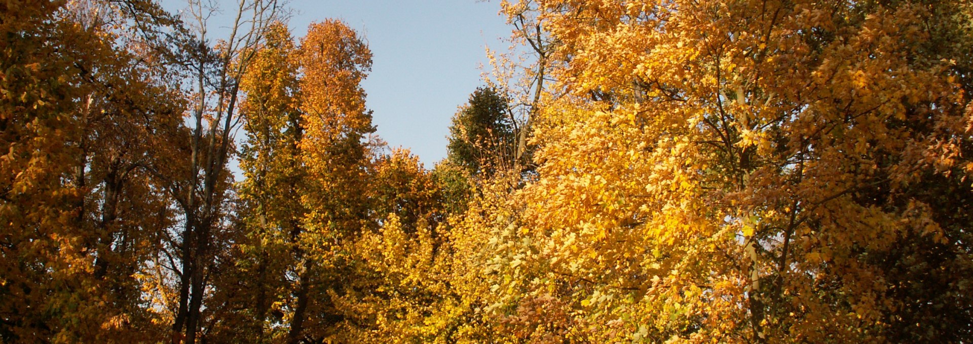 Ein Parkspaziergang im Herbst, © Kröger