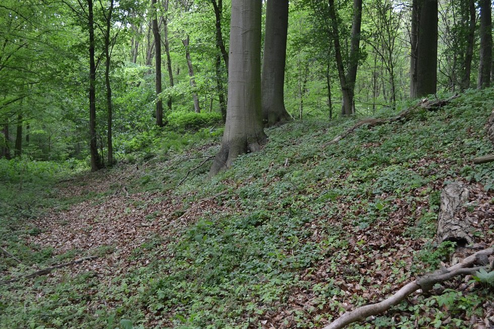 Erhöhung der Schwedenschanze landseitig, © Lutz Werner