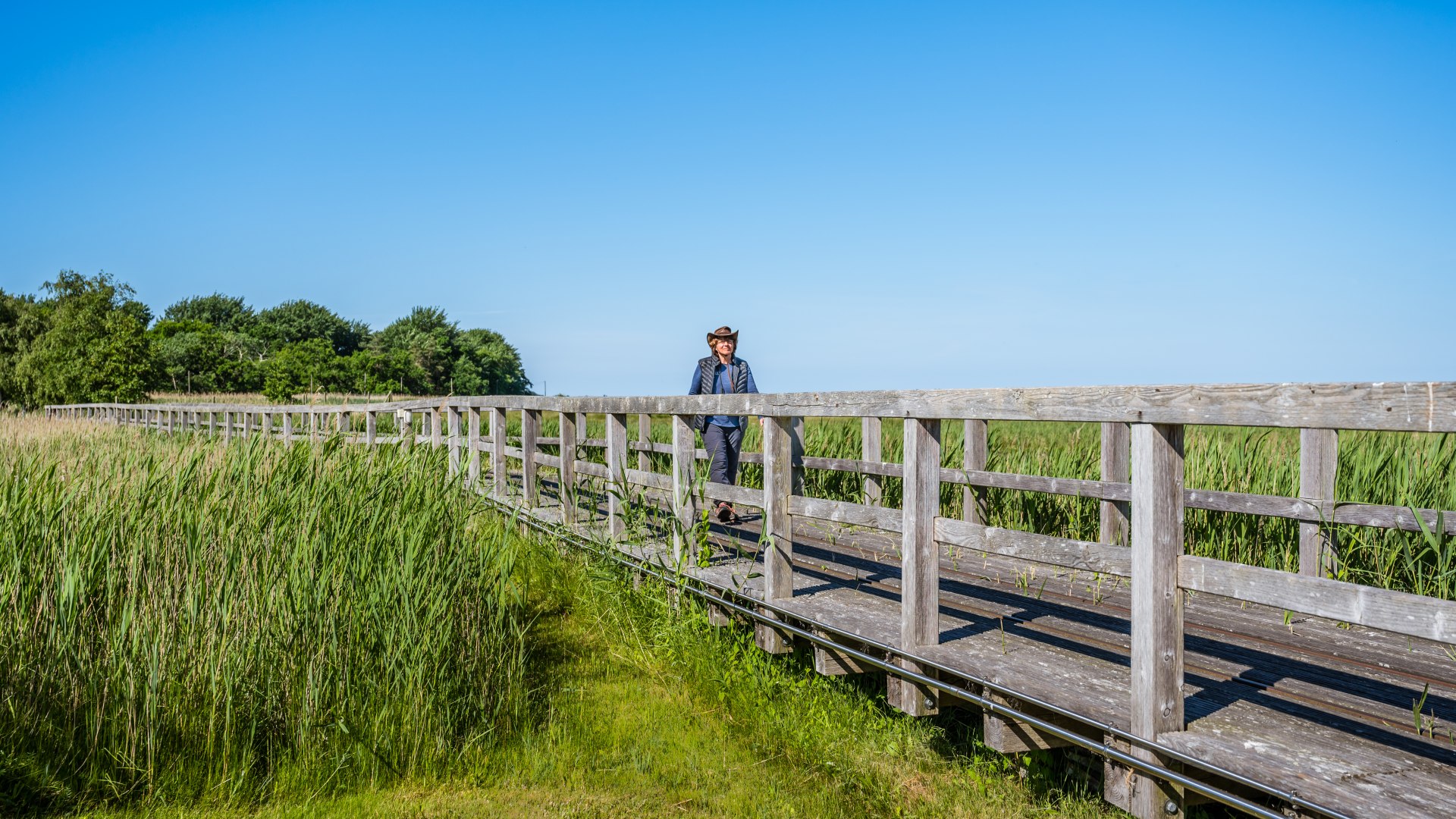 Landgang auf die Insel Kirr bei Zingst