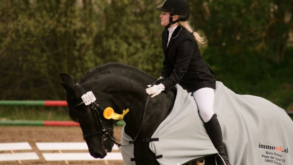 Beim Reiverein Hubertus in Raben Steinfeld im Schweriner Umland erlernen Sie das Reiten oder Erleben eine Kutschfahrt, © Reitverein Hubertus/ Patrick Kort