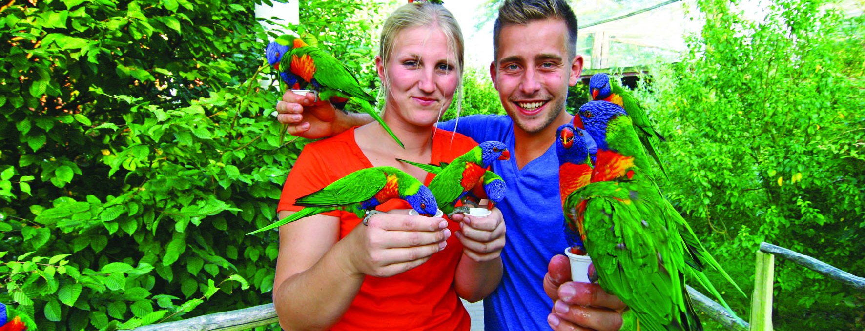 Besucher können die australischen Loris füttern, © Vogelpark Marlow/Zöger