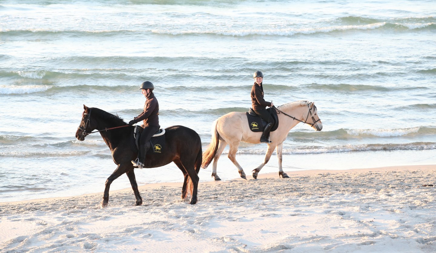 Reiten am Strand, © TMV/ACP Pantel