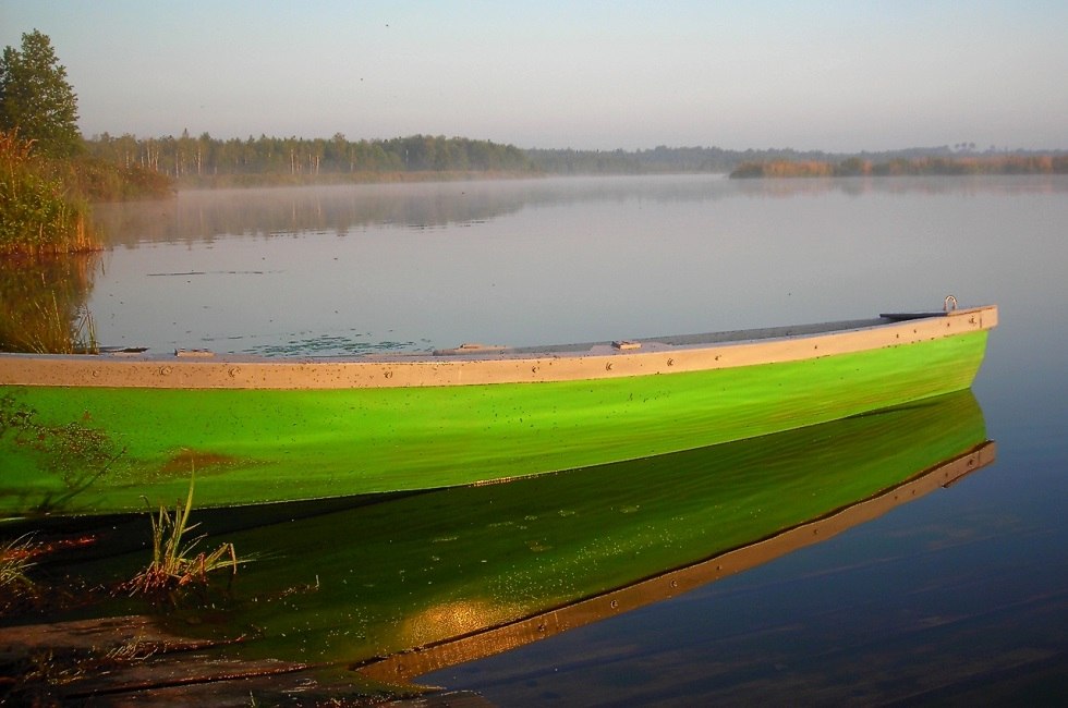 Morgenstimmung am See, © NationalparkTours