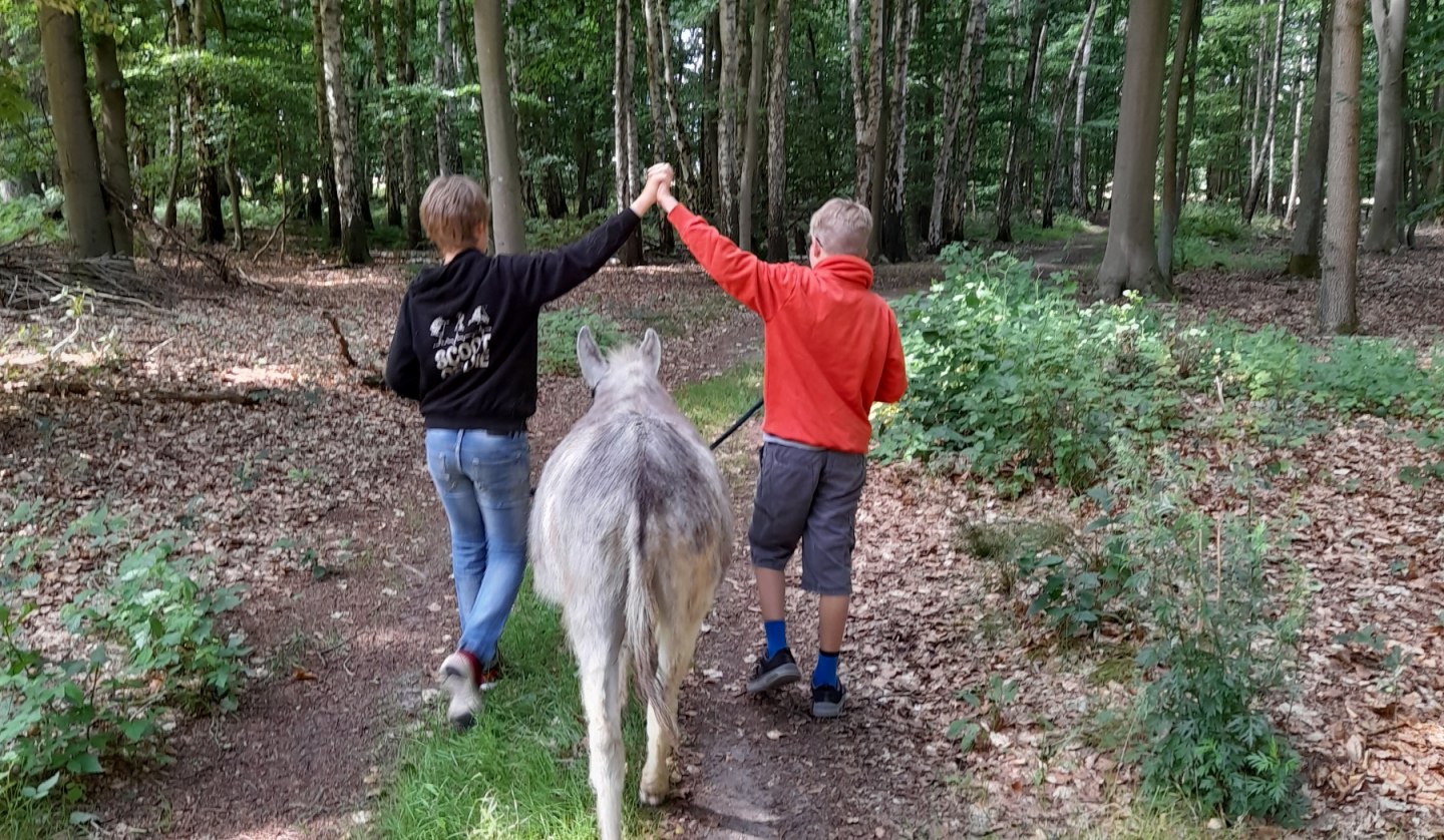 Ein Spaziergang im gemütlichen Esel- Tempo kann ein tolles Erlebnis für die ganze Familie sein. Esel sind besonnene und feinfühlige Tiere, die gerne mit menschlicher Begleitung auf Wanderschaft gehen., © Andrea Hauser