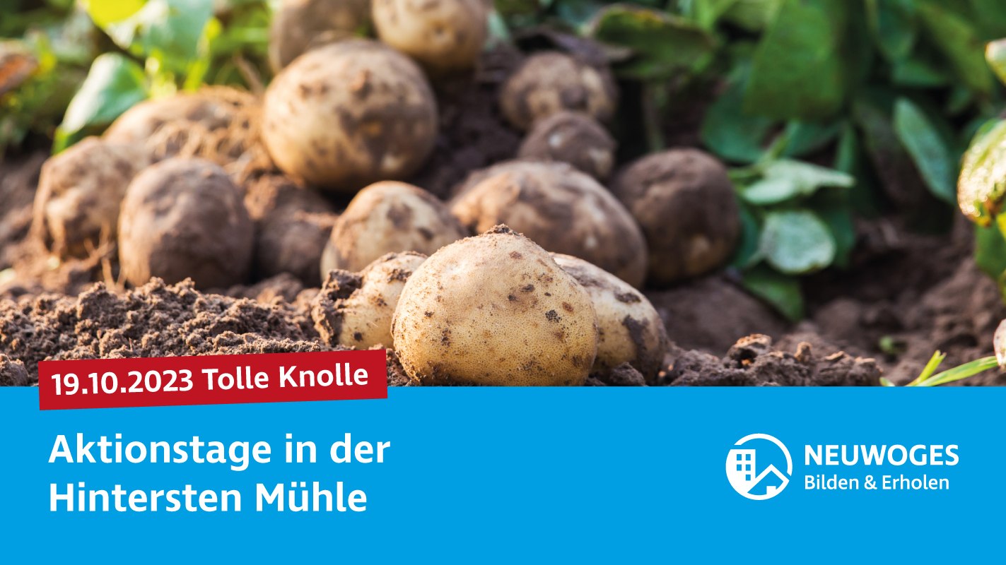 neuw-konzern_externe-komm_tierheim_aktionstage-23-tolle-knolle, © neuwoges