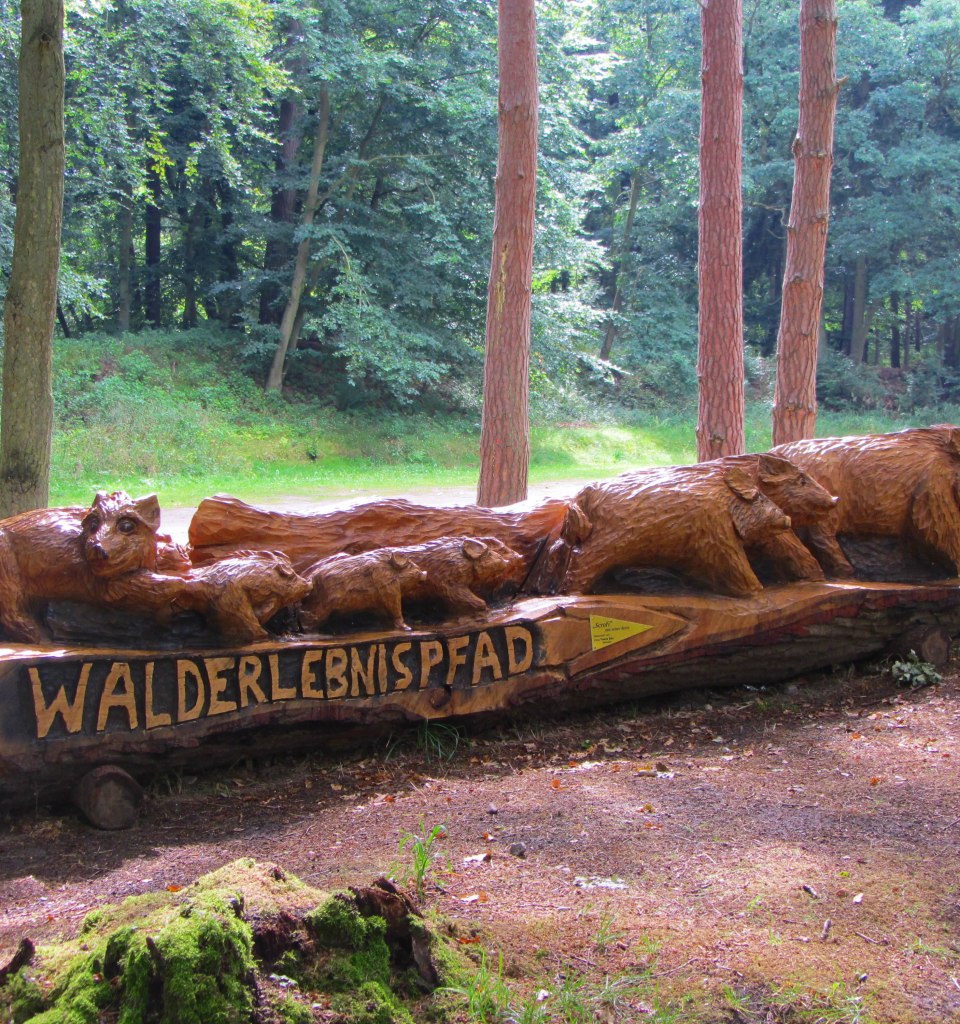 Eingang Walderlebnispfad