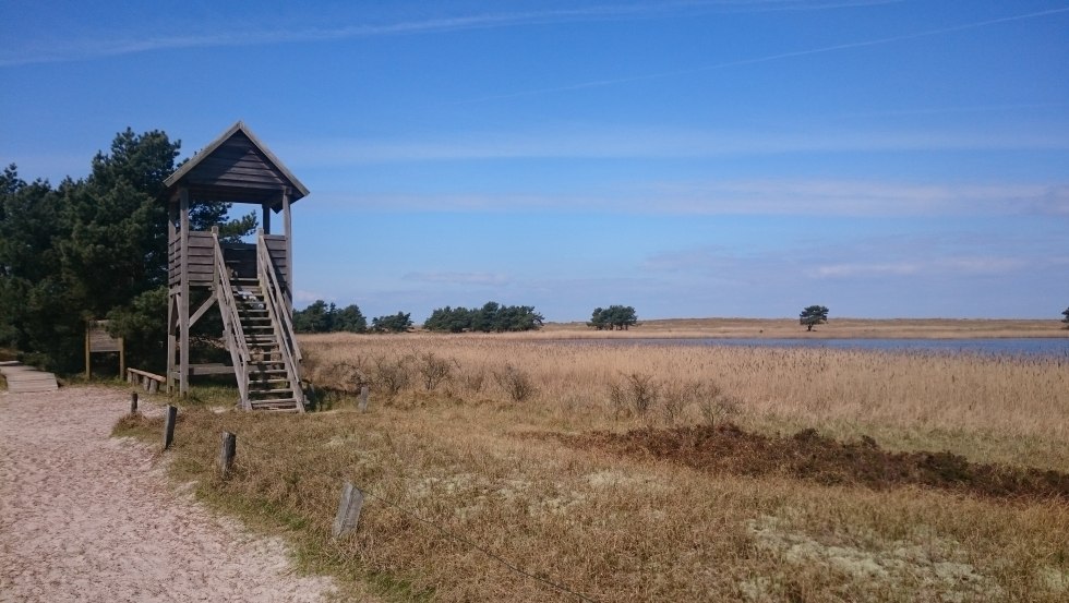 Aussichtsturm am Libbertsee, © UB