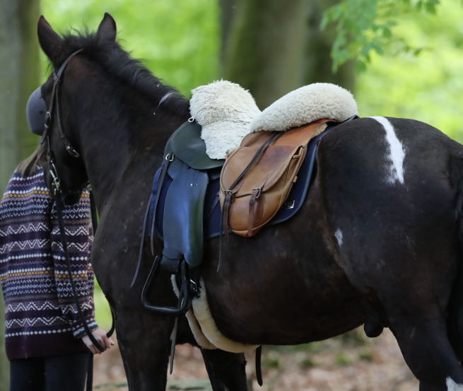 Kurz mal raus aus dem Sattel und die Natur genießen ist beim Wanderreiten in Mecklenburg-Vorpommern sehr zu empfehlen., © TMV/Pantel