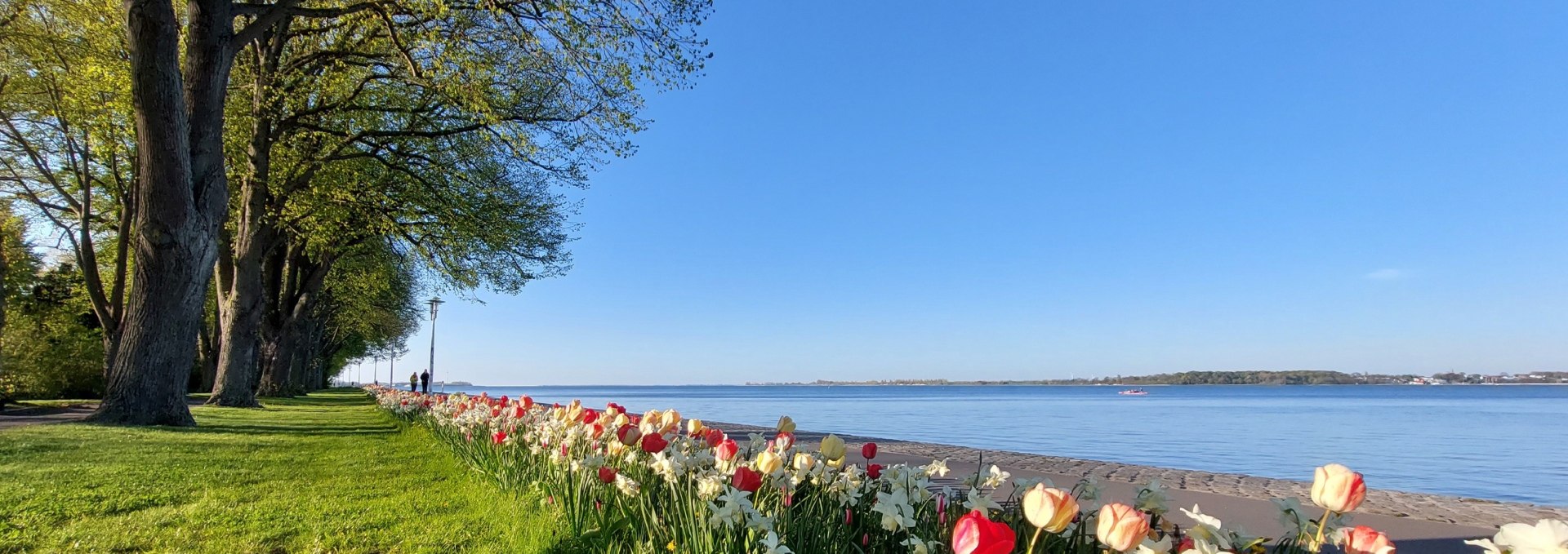 Sundpromenade im Frühling, © Kredl / TZ HST