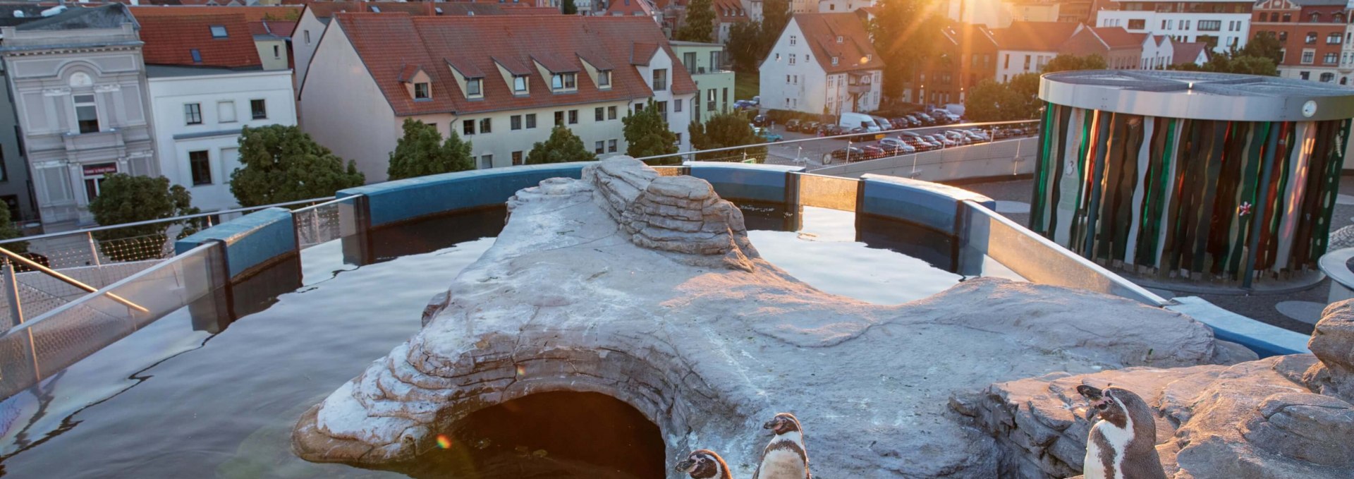 Die Dachterrasse des OZEANEUMs fasziniert mit einem Besuch der Humboldt-Pinguine und einem Panoramablick über die Altstadt Stralsunds., © Anke Neumeister/Deutsches Meeresmuseum