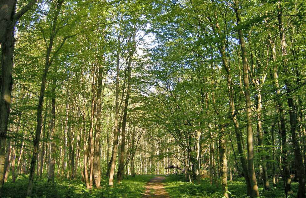 goor-und-freetzer-niederung, © Biosphärenreservatsamt Südost-Rügen