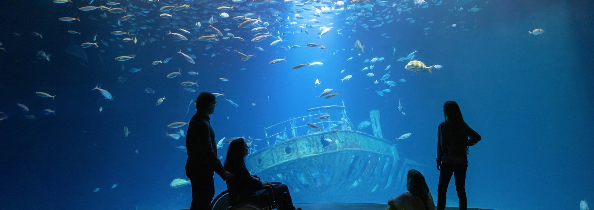 Die Aquarienrundgänge im OZEANEUM sind barrierfrei erlebbar, © Anke Neumeister/Deutsches Meeresmuseum