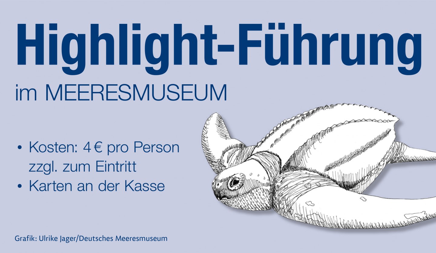 meeresmuseum-teaserild-highlightfuehrung-copyright-ulrike-jager-deutsches-meeresmuseum