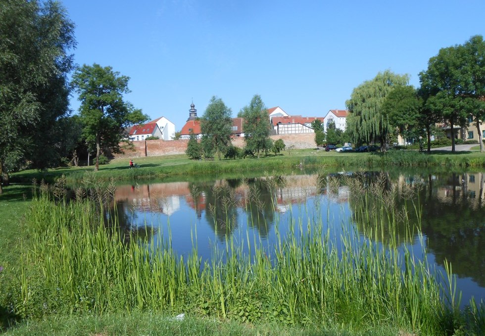 Die grüne Oase von Malchin (Stadtansicht vom Park aus), © Monika Kröger