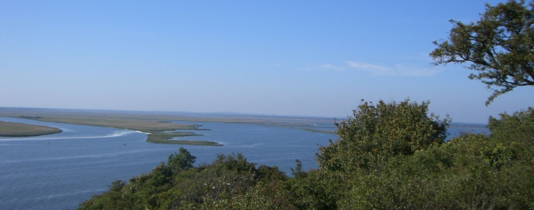 Natur pur - einzigartige Fahrrad- und Bootstour ins Swinedelta