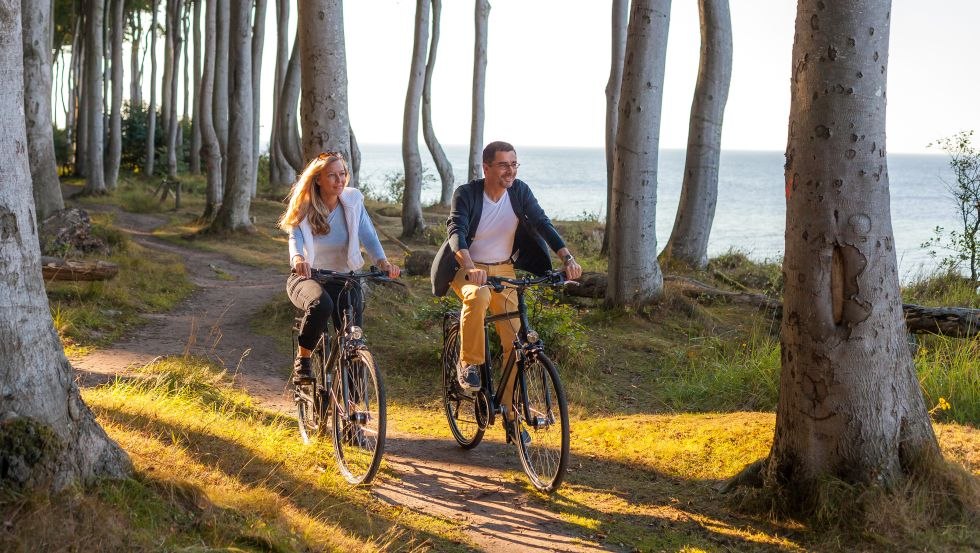 Fahrradtour durch den Gespensterwald, © VMO, Alexander Rudolph