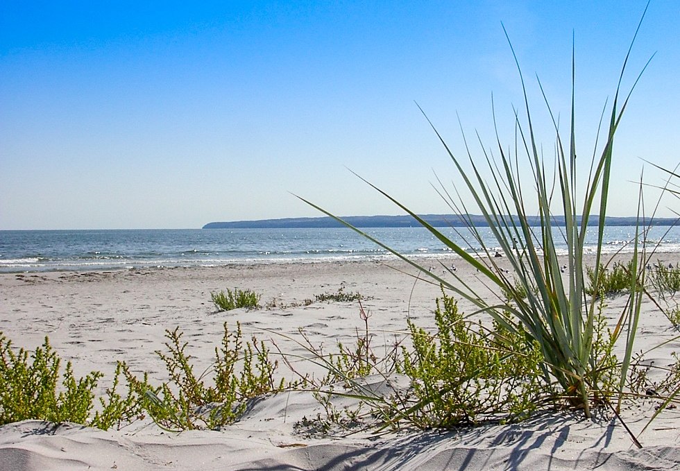 Strand, © Freizeitcamp Am Wasser