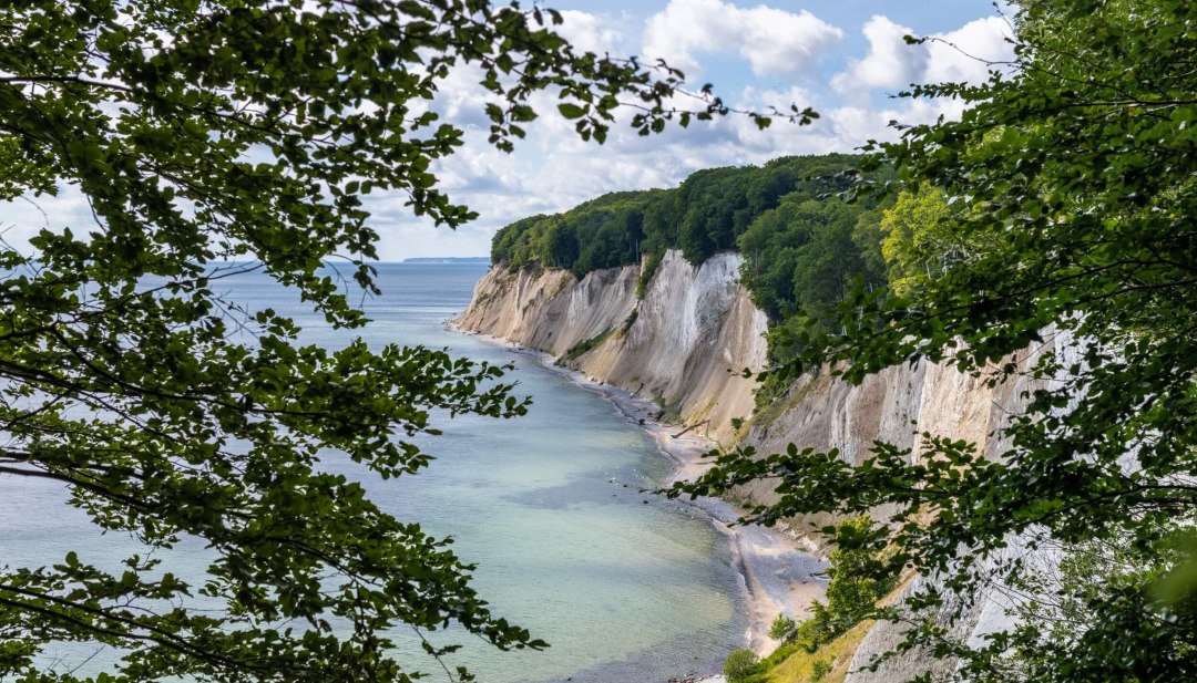 Wie eine dichte grüne Borte sitzt der Buchenwald auf der kreideweißen Steilküste von Jasmund., © TMV/Tiemann