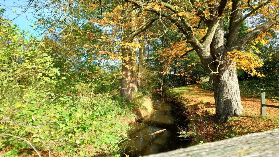 Köthelscher Bach Richtung Stadtpark, © Jana Koch