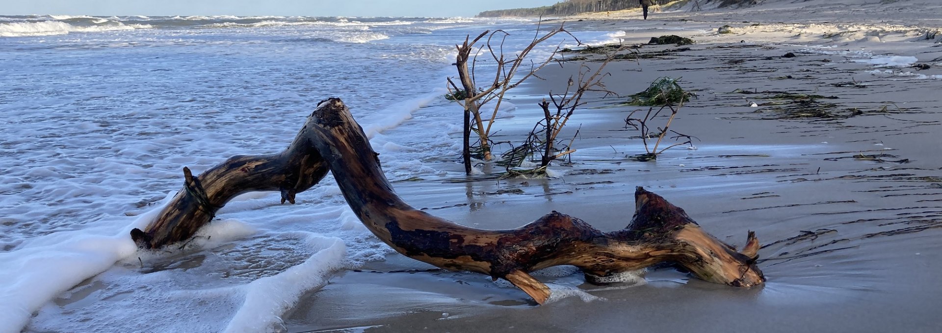 Weststrand, © K. Baerwald