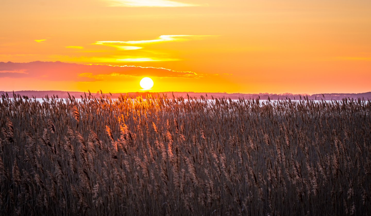 Radwanderung ins Achterland, © insel-fotograf.eu, Andreas Dumke