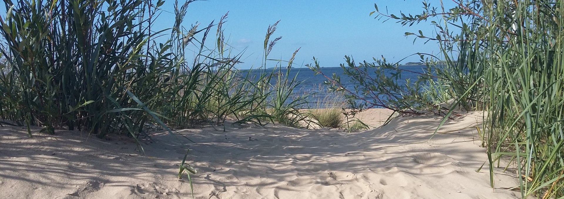 Strand in Freest, © Michael Heck