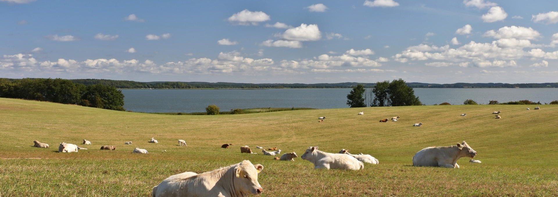 Loddiner Höft, © TMV/Gohlke