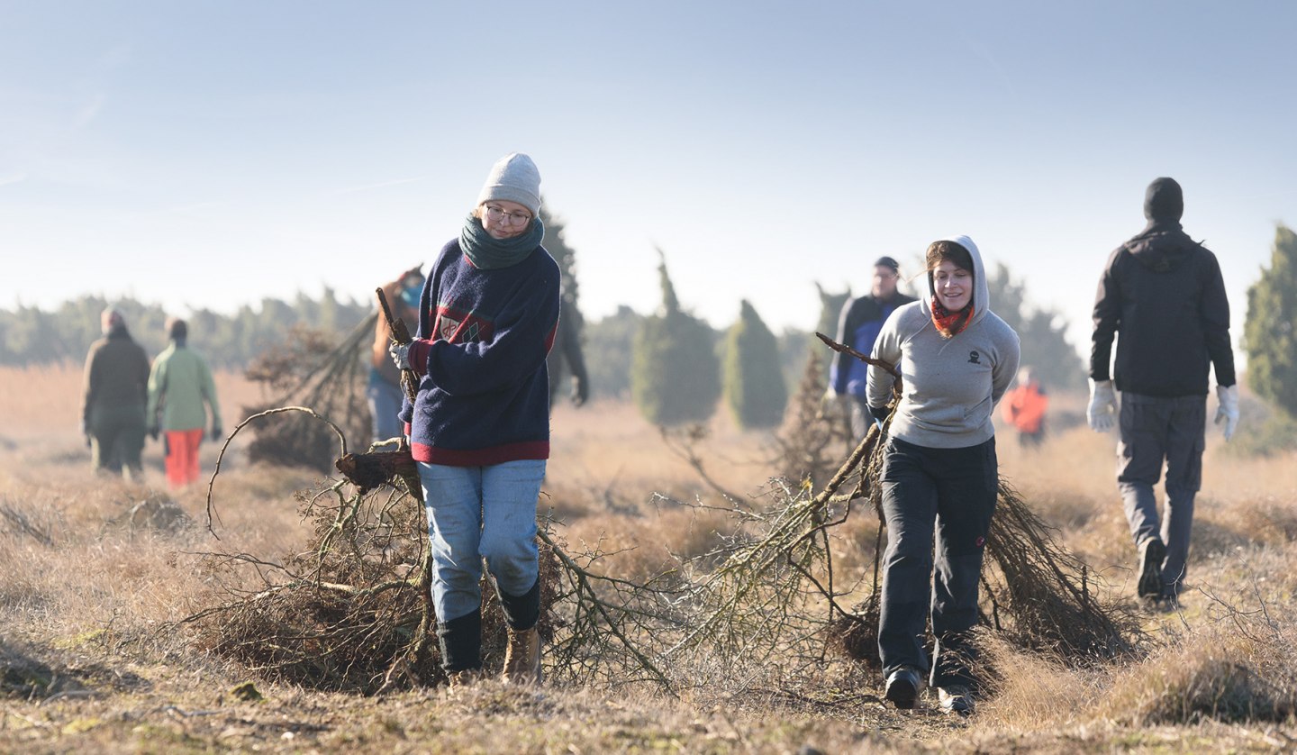 Hiddensee__Heide_freistellen_korr, © Matthäus Holleschovsky - Bergwaldprojekt e. V.