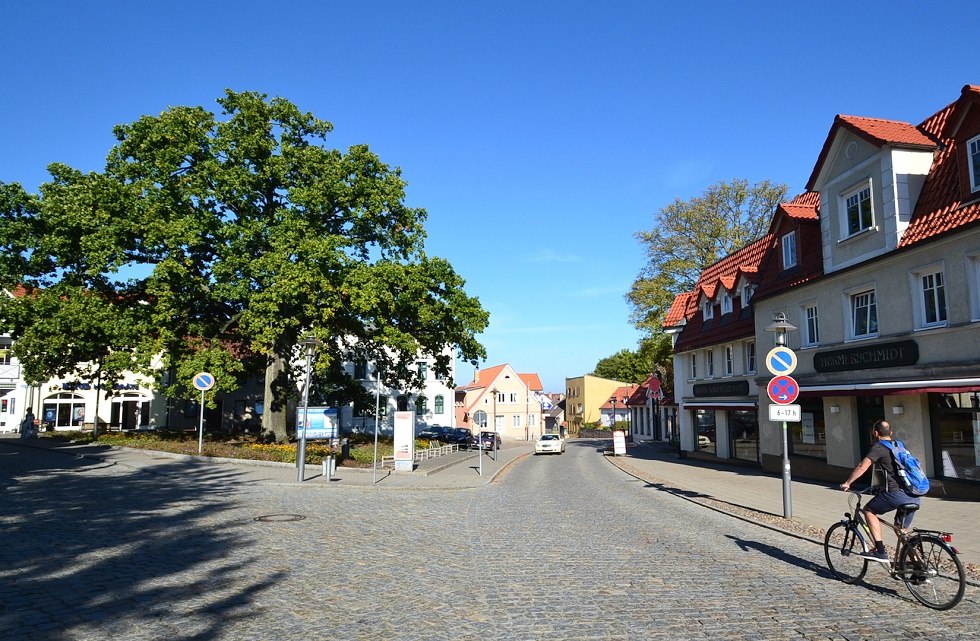 Billroth Eiche, © Tourismuszentrale Rügen