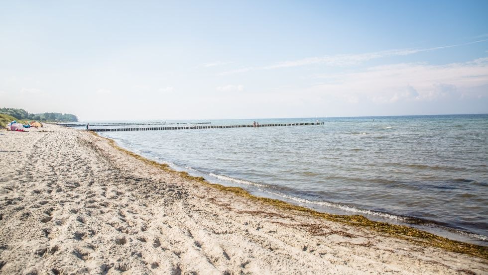 Ideale Surf- und Kitebedingungen auf der Insel Poel, © Liene Photografie Nadine Sorgenfried