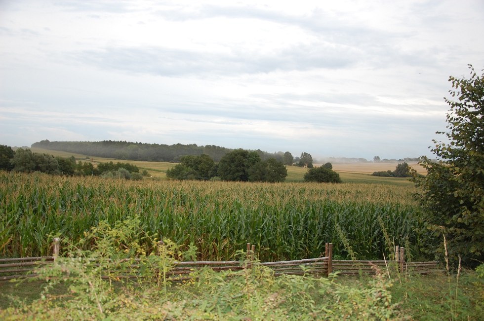 Blick auf das ehemalige Schlachtfeld bei Wakenstädt., © Gabriele Skorupski