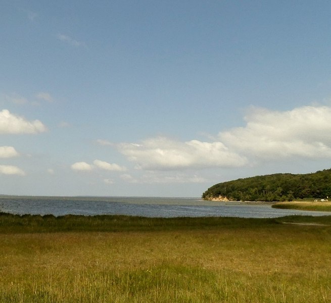 Blick auf den Großen Jasmunder Bodden, © H. Seelenbinder