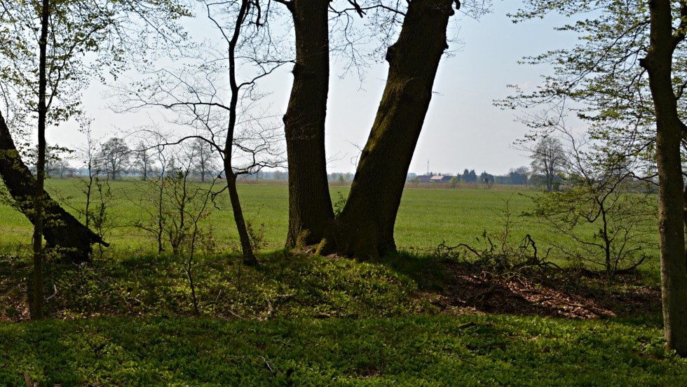 Blick in die Wiesenlandschaft, © Foto: Tourismusverband Mecklenburg-Schwerin