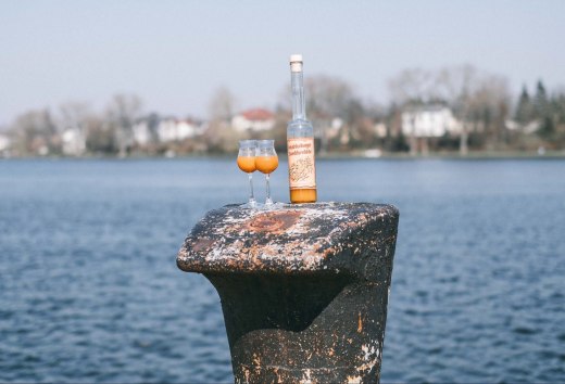 Sanddorn gibt es in unterschiedlichen Arten, sowohl auch als leckeren Likör zum Genießen an der Hafenkante., © TMV/Witzel