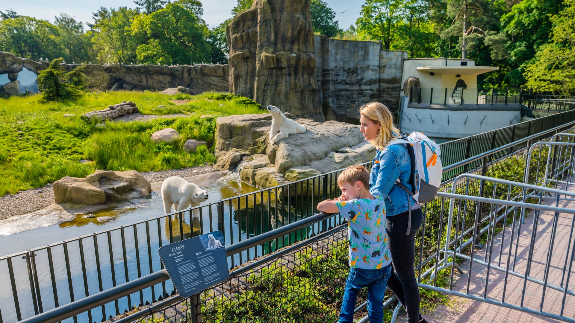 Erik und seine Mutter im Polarium des Rostocker Zoos. Drei Eisbären leben dort in einer 3.500 Quadratmeter großen Tundralandschaft., © TMV/Tiemann